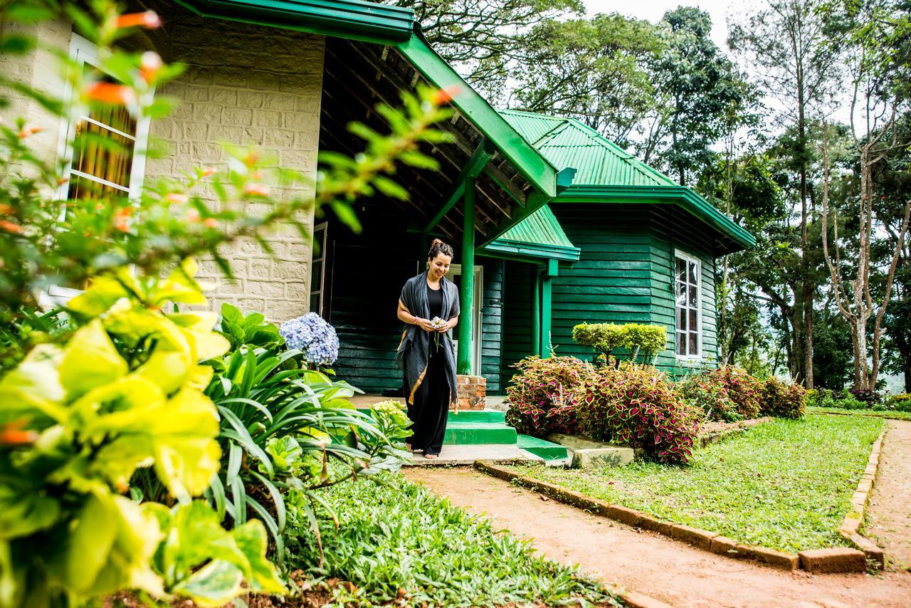 Royal Majesty Bungalow Hatton Exterior foto